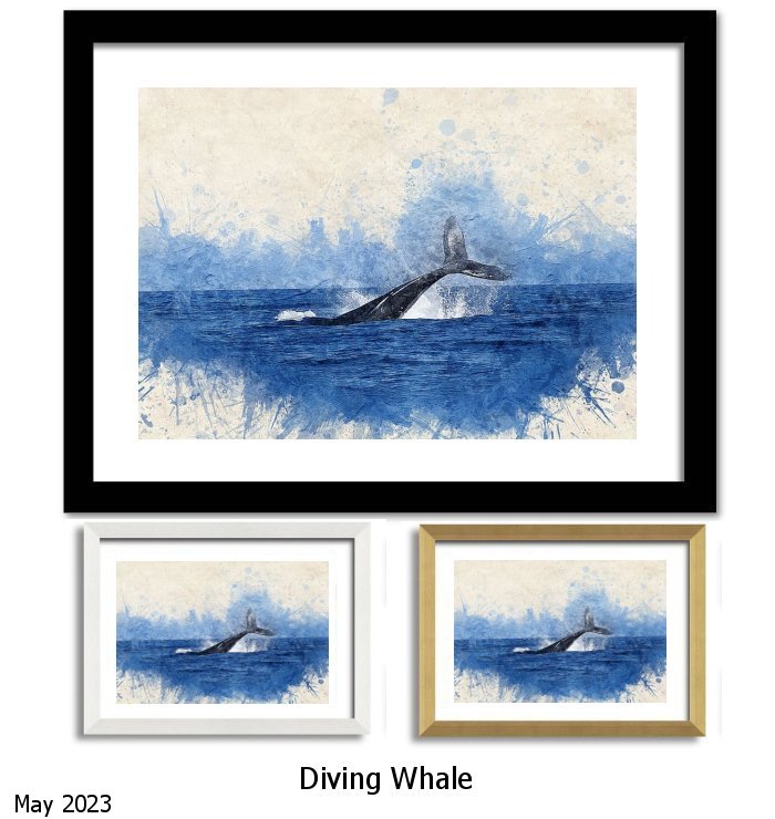 Diving Whale Framed Print